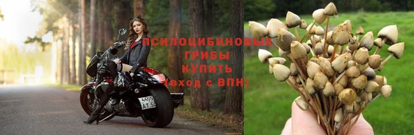 амфетамин Карпинск