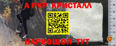 хмурый Гудермес
