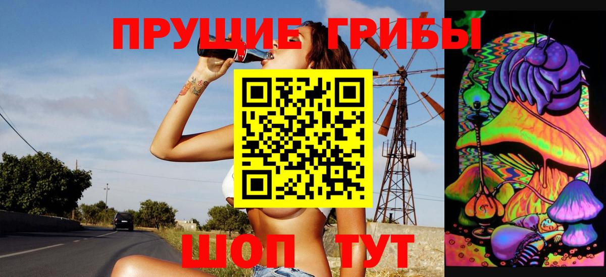 Невинномысск  Псилоцибиновые грибы Psilocybe  Вход с VPN 